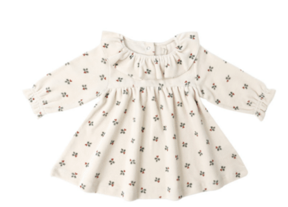 The Quincy Mae Holly Berry Velour Baby Dress features a cream hue, long sleeves, ruffled collar, and a delicate floral print—an ideal organic cotton choice for holiday celebrations.