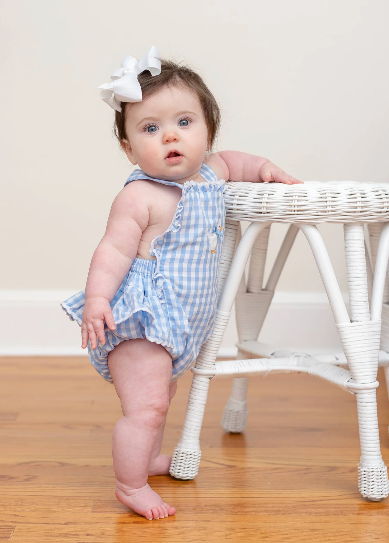 Blue Gingham Goose Bubble