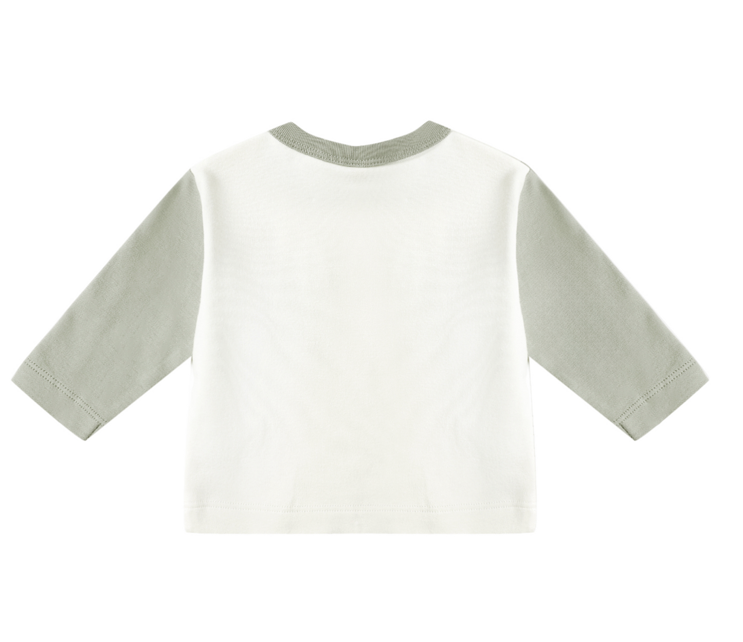 Long Sleeve Raglan Tee- Fern