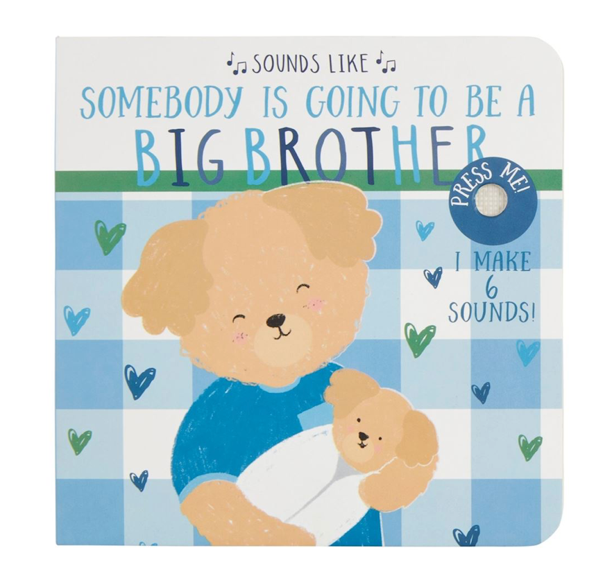 Big Brother Book