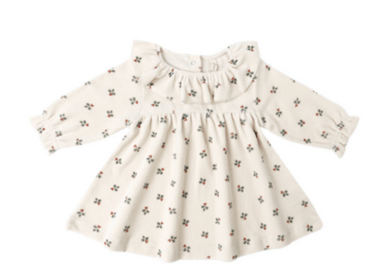 The Quincy Mae Holly Berry Velour Baby Dress features a cream hue, long sleeves, ruffled collar, and a delicate floral print—an ideal organic cotton choice for holiday celebrations.