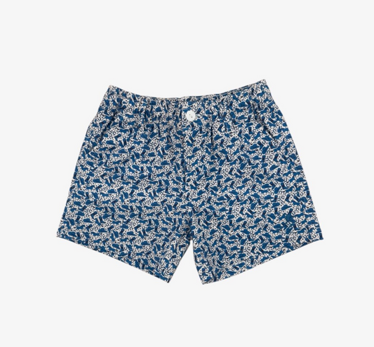 western bluebonnet blue print on boys shorts