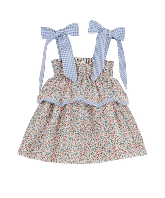Americana Bow Dress