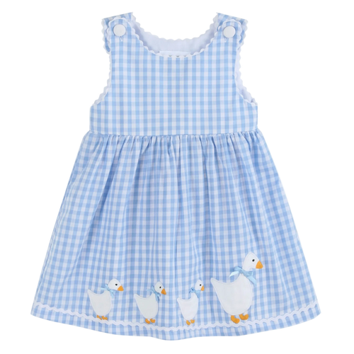 Blue Gingham Goose A Line Dress