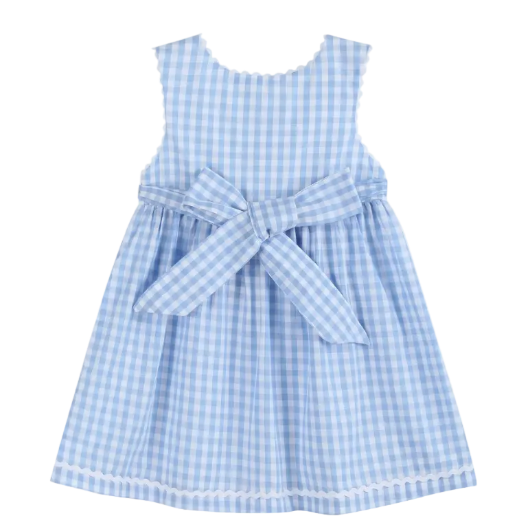 Blue Gingham Goose A Line Dress