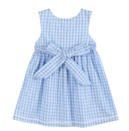 Blue Gingham Goose A Line Dress