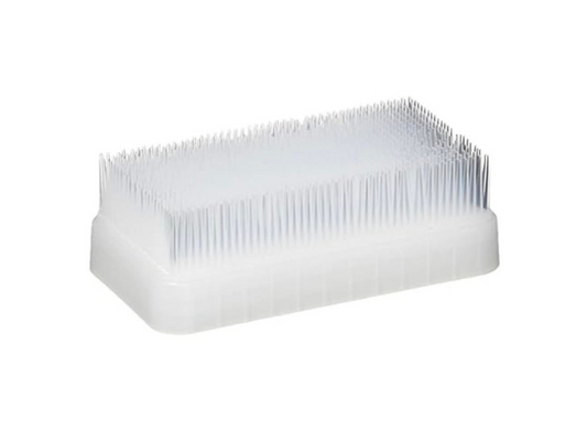 Baby Brush
