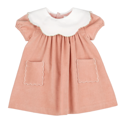A baby girl's short-sleeve dress in dusty pink corduroy with a contrasting white scalloped Peter Pan collar and matching scalloped pocket edges, shown on a plain white background.