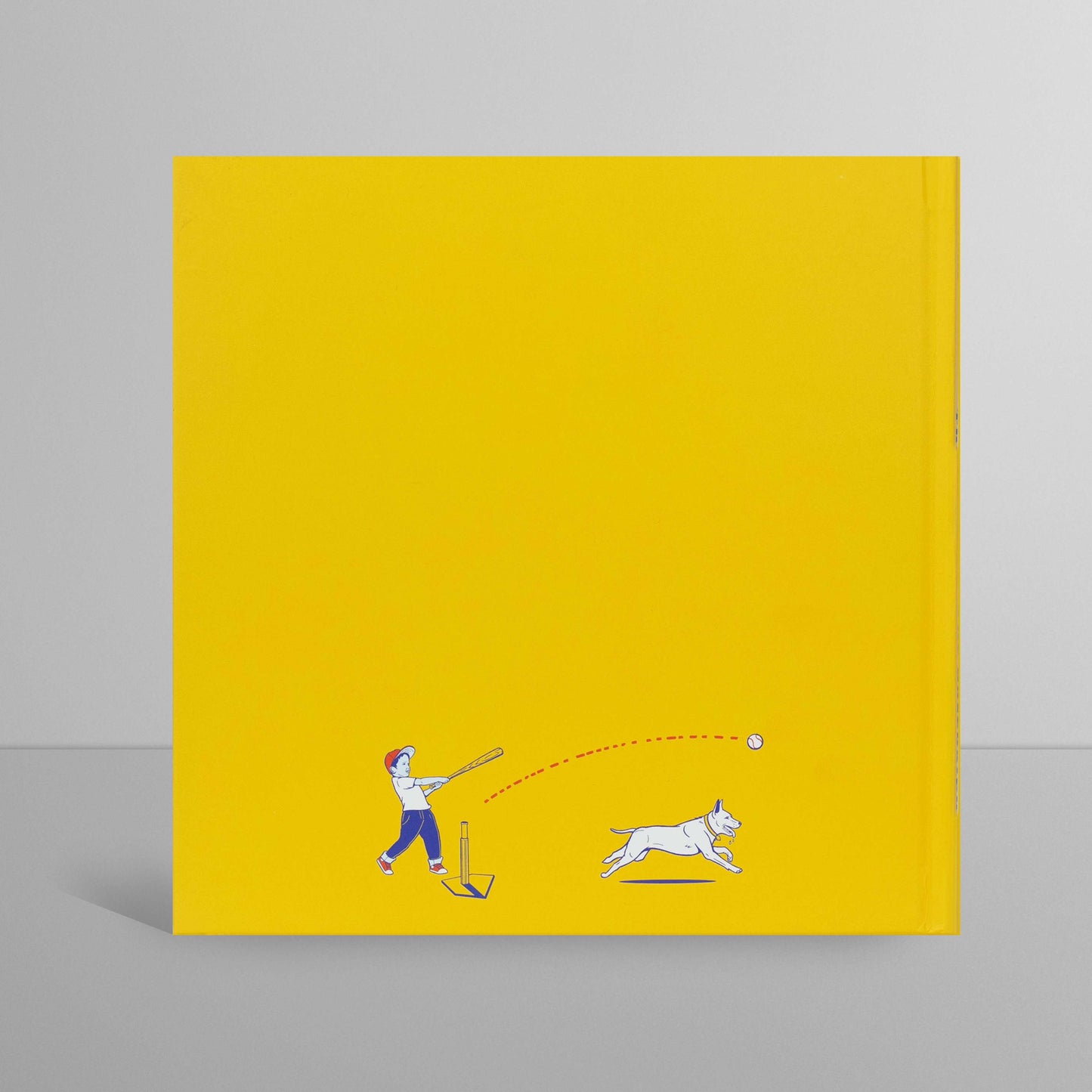 The Basebalphabet - Children's Book